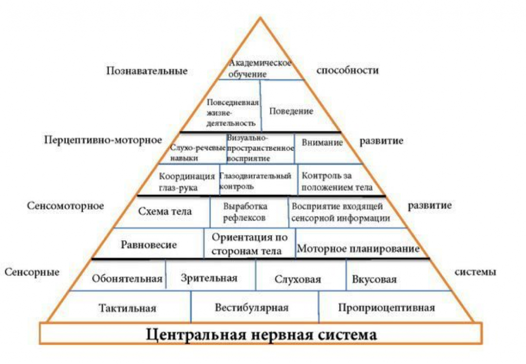 Картинка пирамида обучения